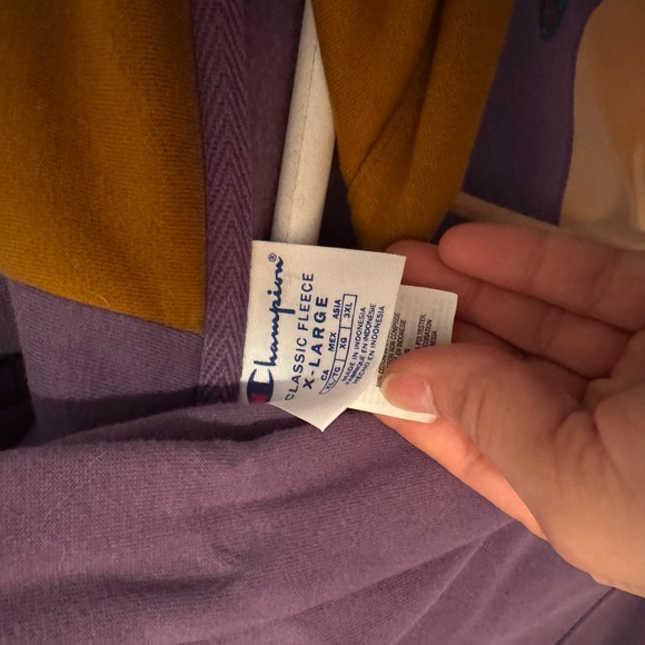 Champion Multicolor Fleece Hoodie & Sweatpants Set - Picture 3 of 4